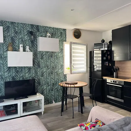 Duplex Proche Stade De France, Paris Et Cdg *